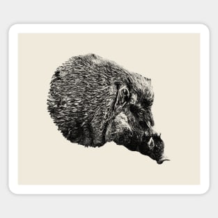 Visayan warty pig Sticker